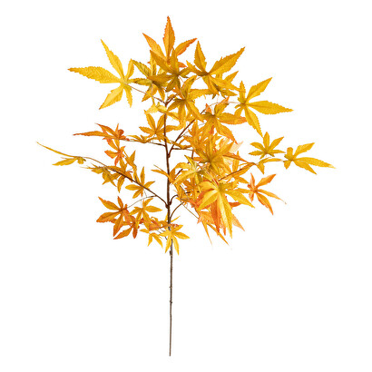 Arce artificial "James"