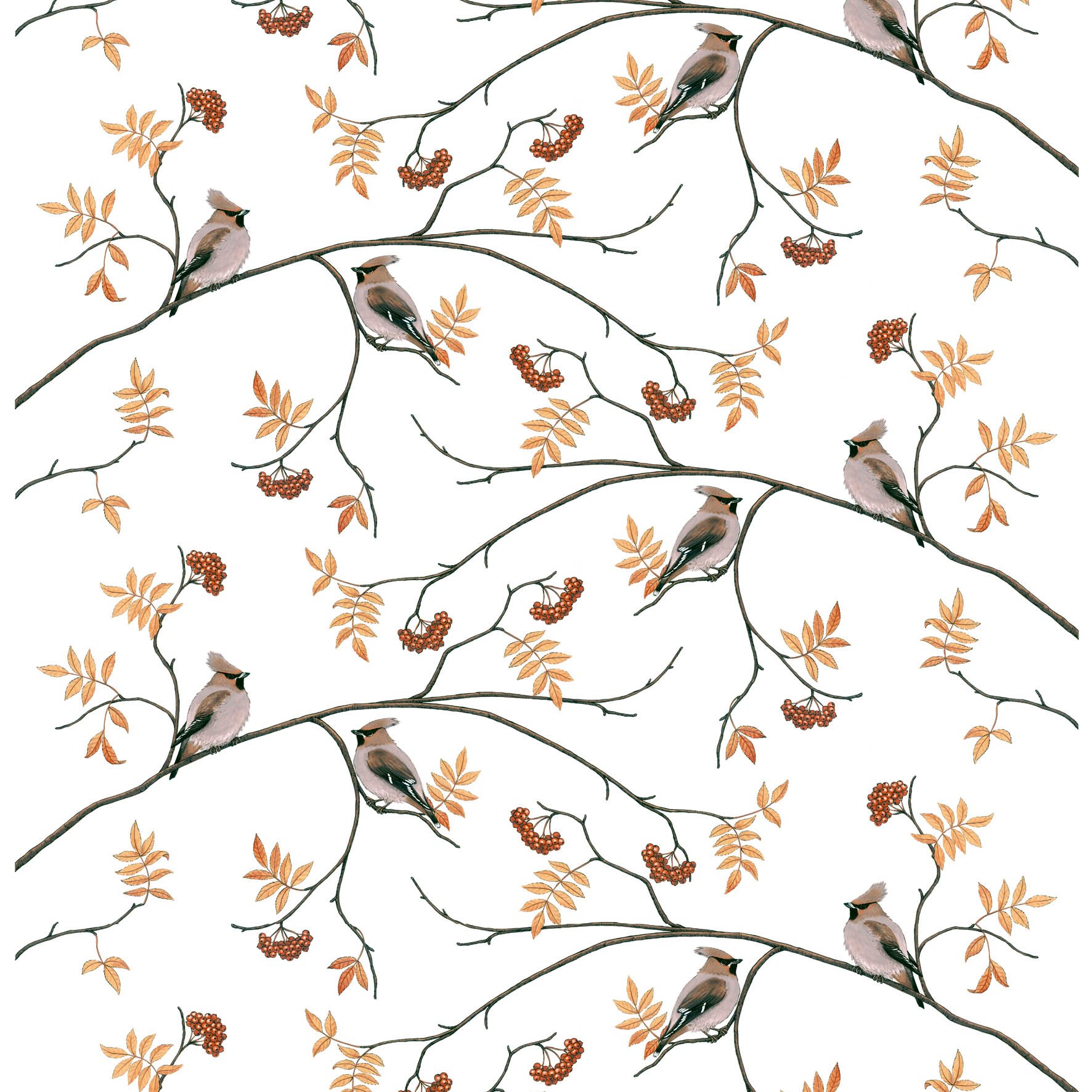 Tela Sidensvansar blanco-beige