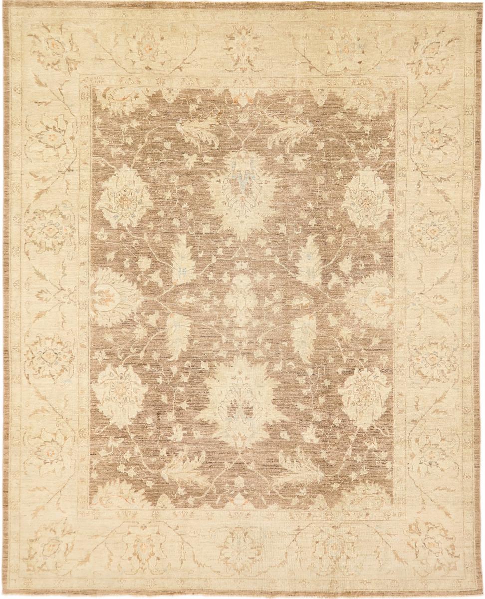 Ziegler Farahan Arijana 293x235 cm