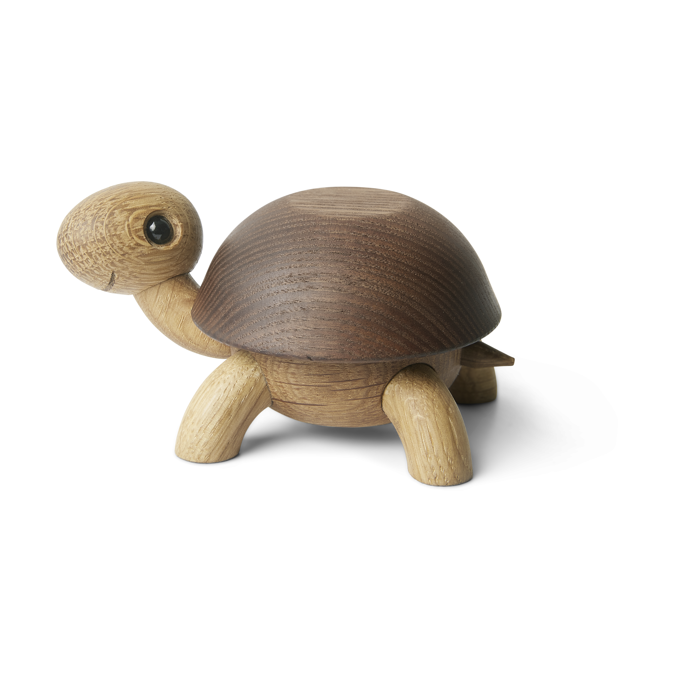 Decoración tortuga Speedy 4 cm Roble-fresno