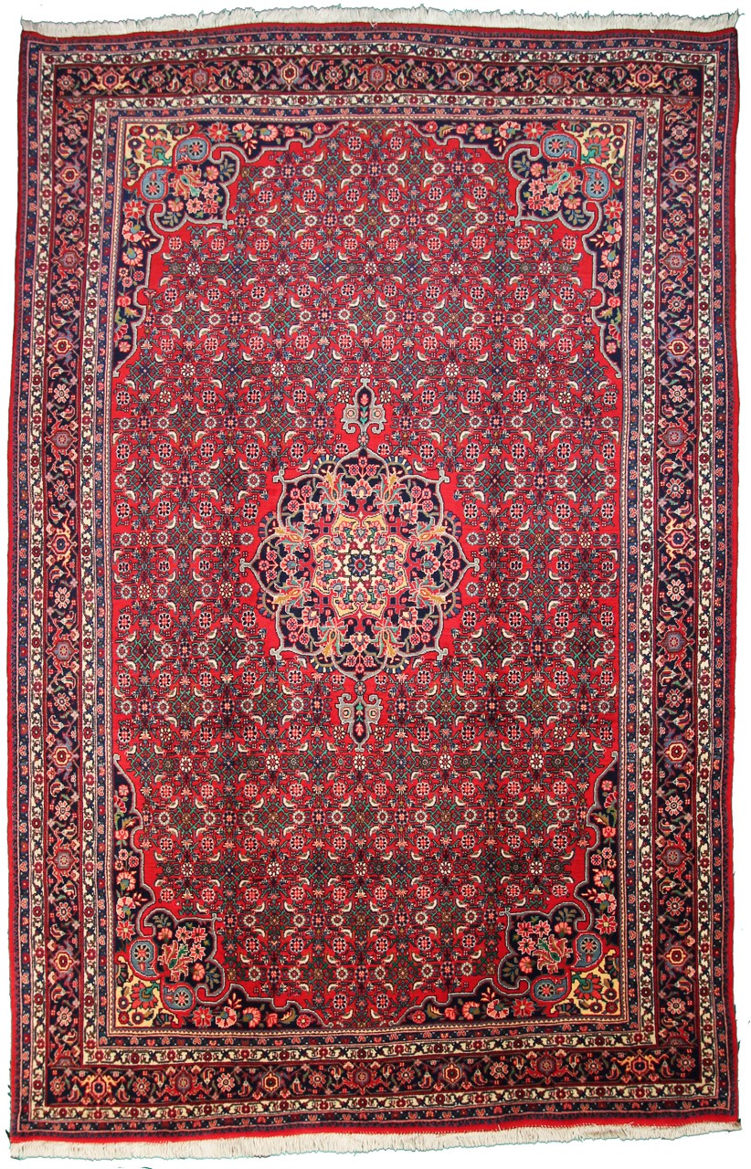 Bidjar 325x213 cm