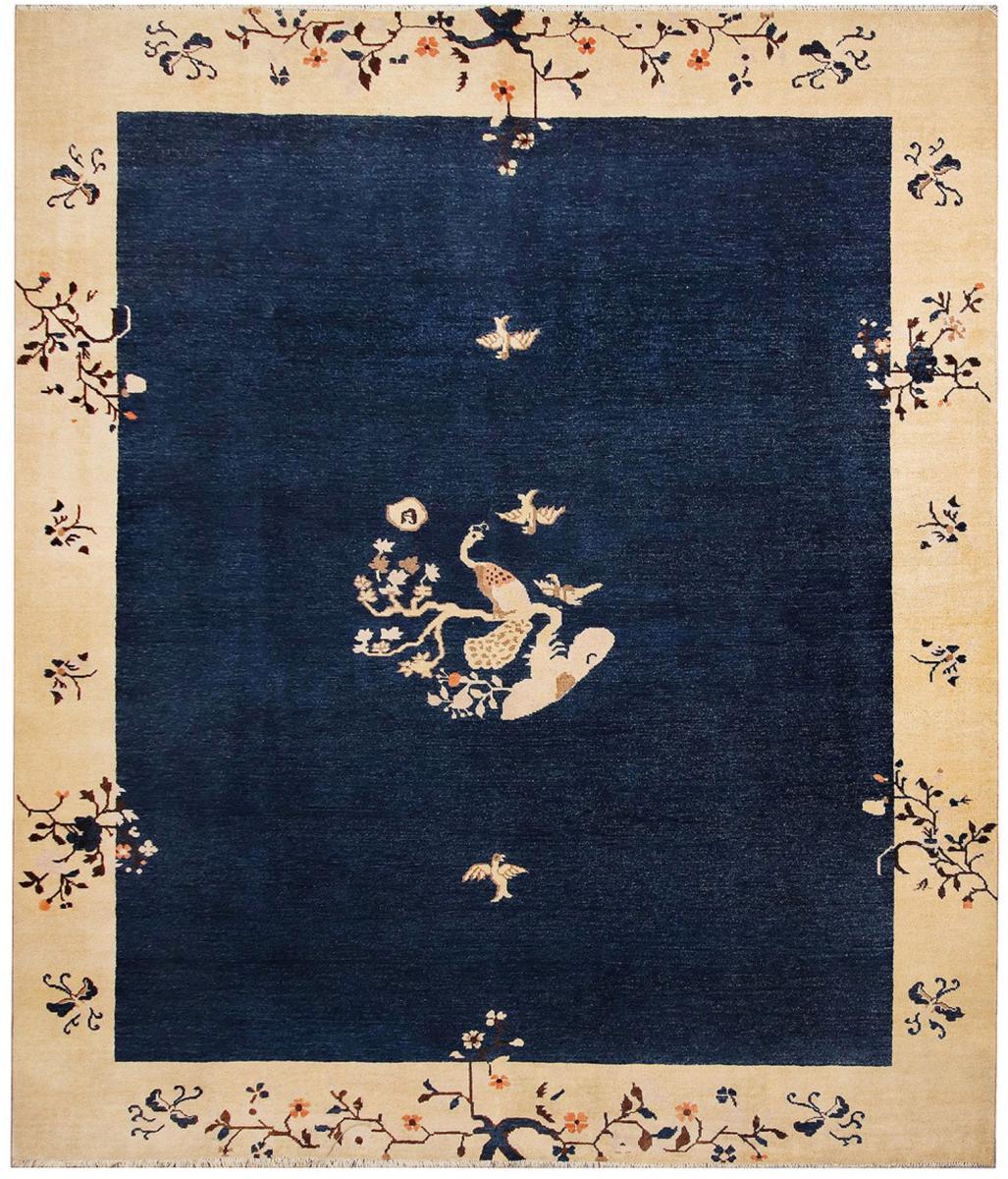 Arijana Design 391x299 cm