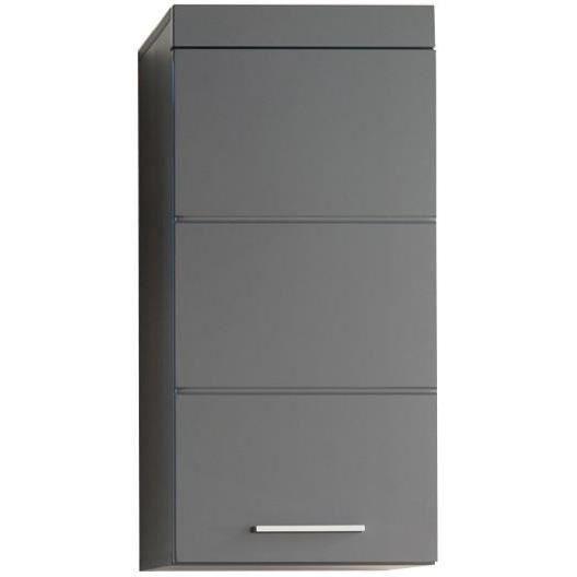 Trendteam TRE4251398961282 Mueble de baño alto AMANDA, 1 puerta, Gris