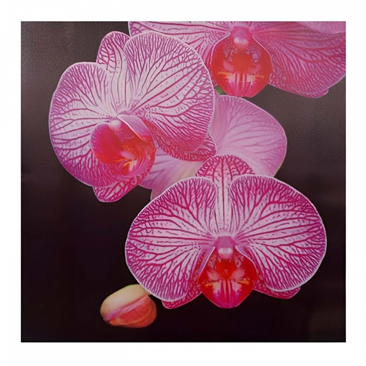 CUADRO DECORATIVO LIENZO FLORES ROSAS 50X50