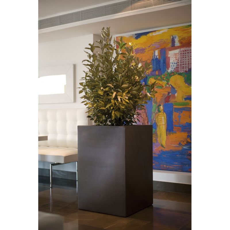 Maceta Cubo Alto