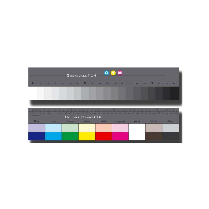 Danes Picta BST14 grande carta color