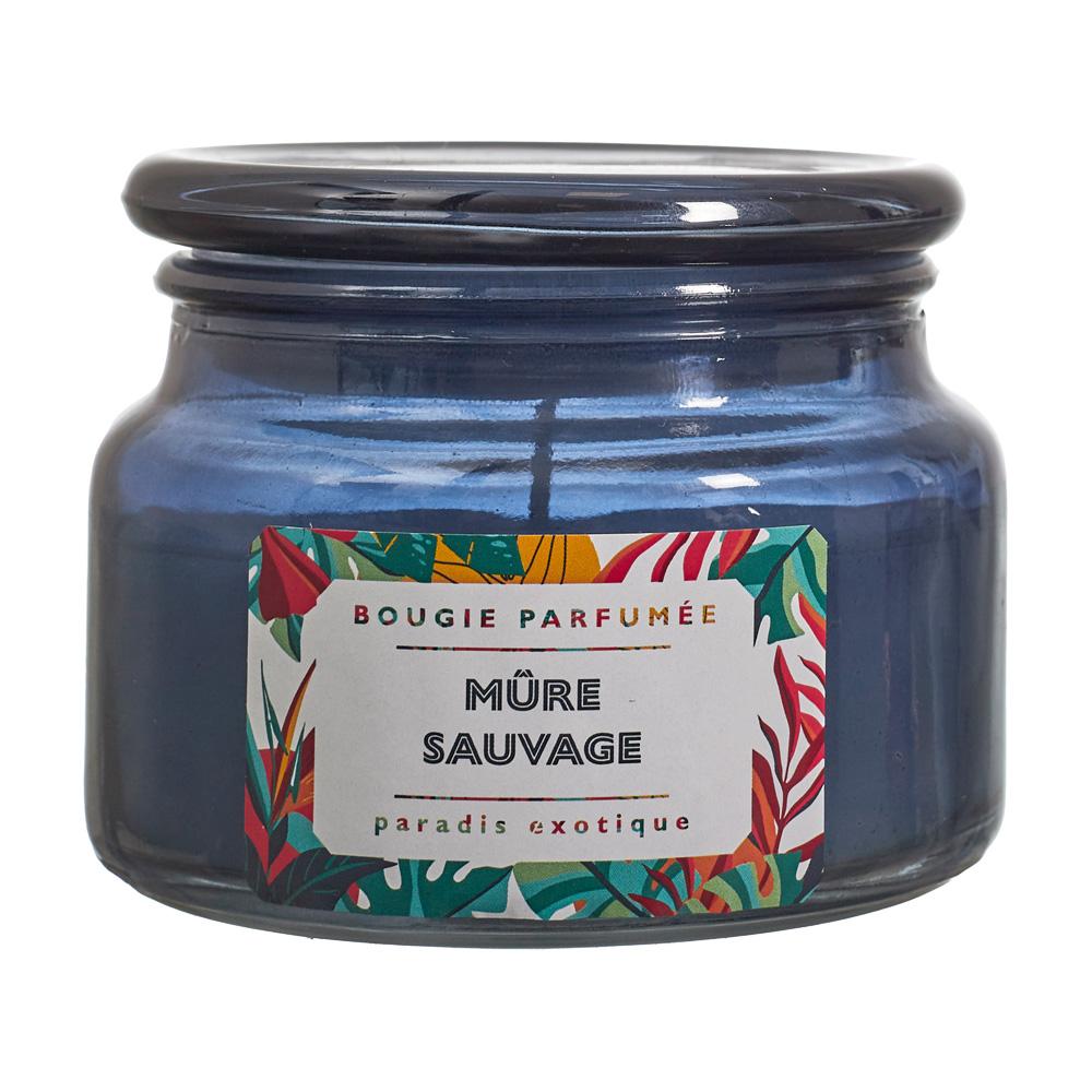 Home Deco Factory Vela Perfumada Paradis Exotiqu - Vainilla, Fruta de la Pasión, Coco o Mora Salvaje - 9,5x7,5 cm