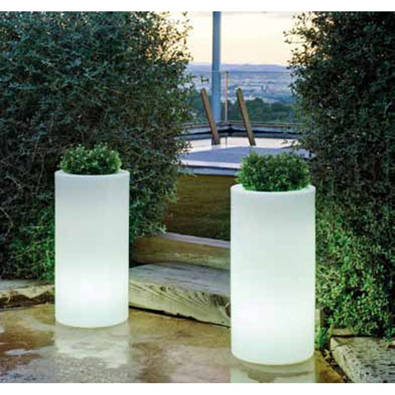 Maceta Palma de New Garden